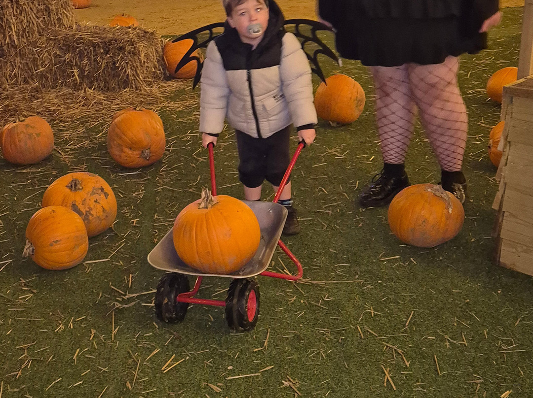 Quex Adventure Farm Park-Birchington必去景点