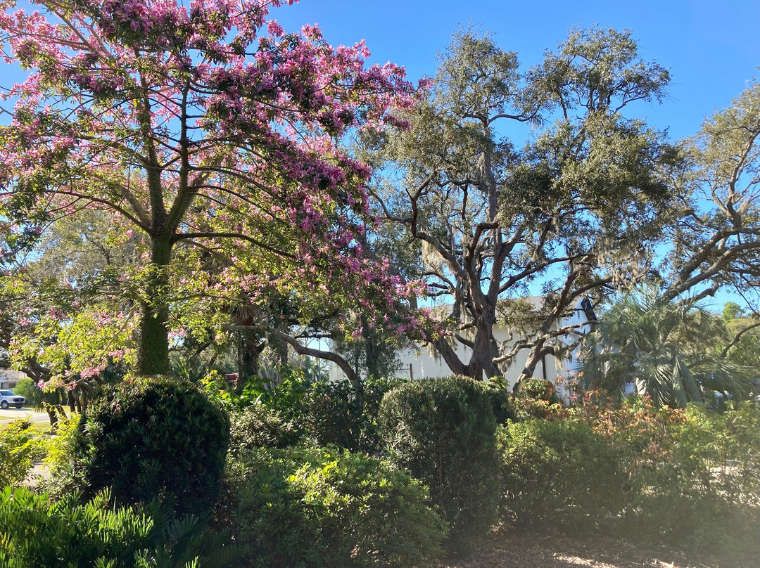 Nature Coast Botanical Gardens & Nursery-Spring Hill必去景点
