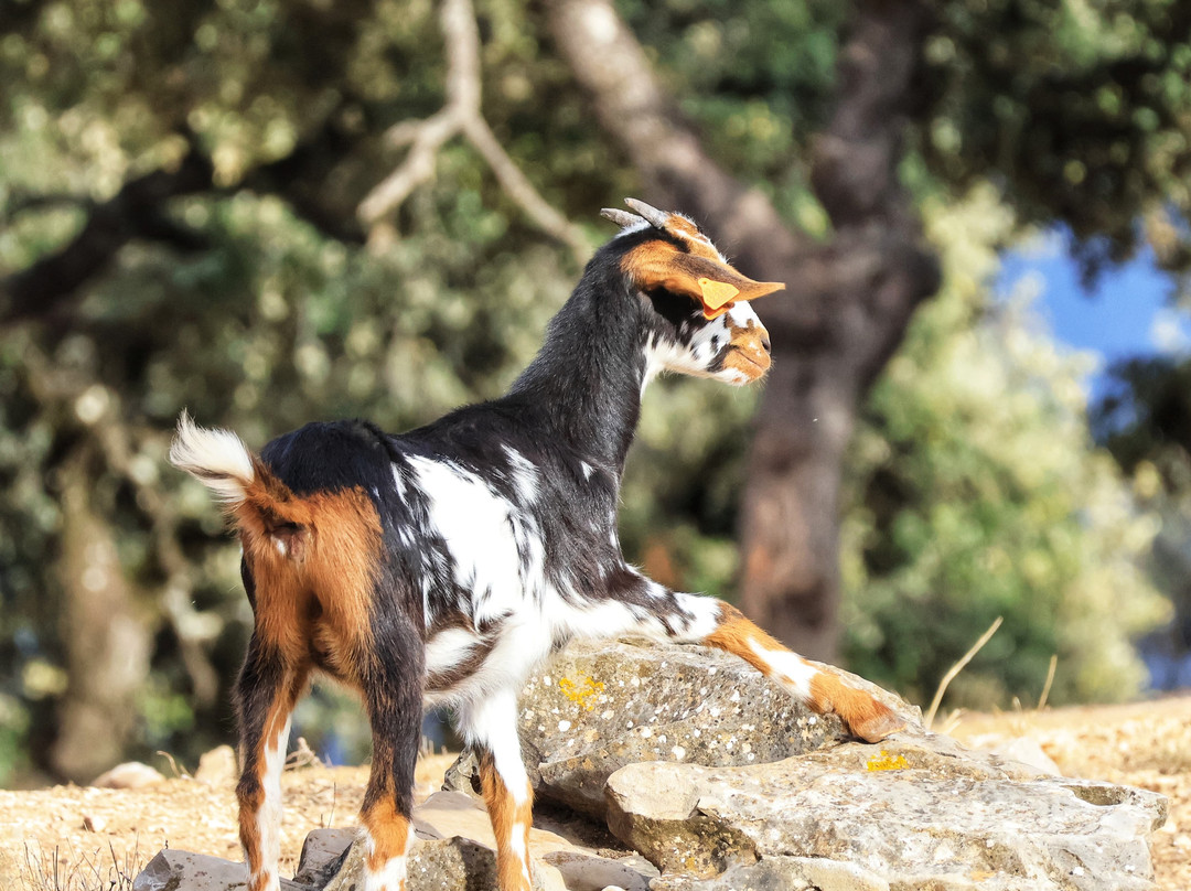 Academia Pradoventura-Prado del Rey必去景点