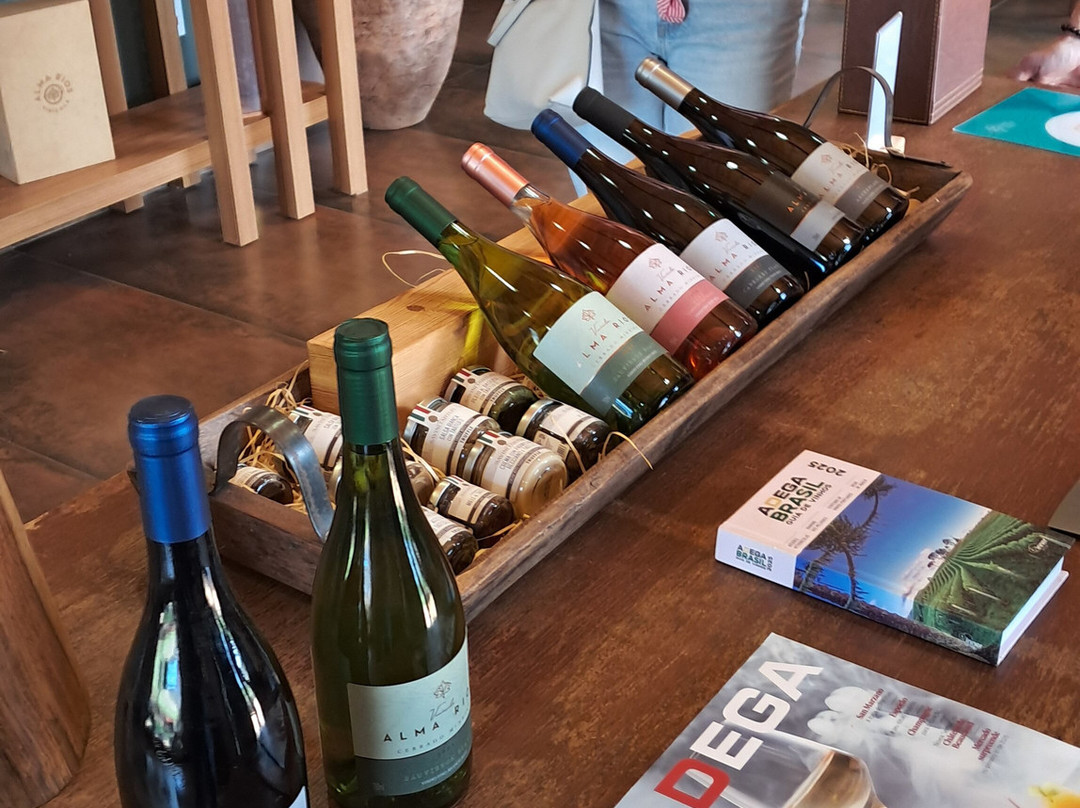 Vinícola Alma Rios-Patos de Minas必去景点