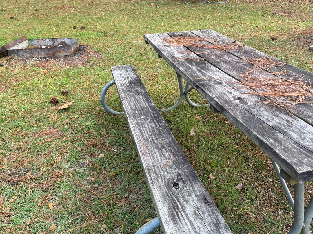 Lakepoint Resort State Park-Eufaula必去景点