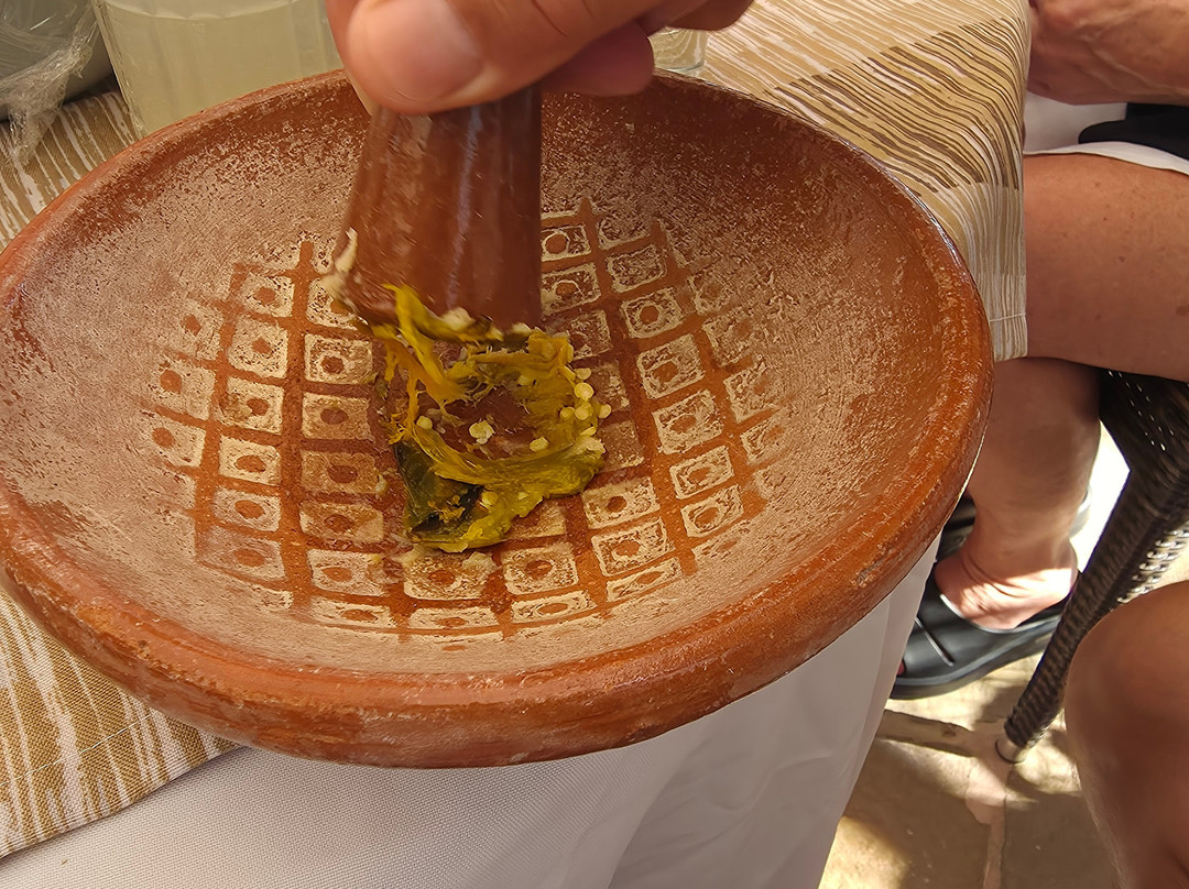 Salsa and Salsa-卡波圣卢卡斯必去景点