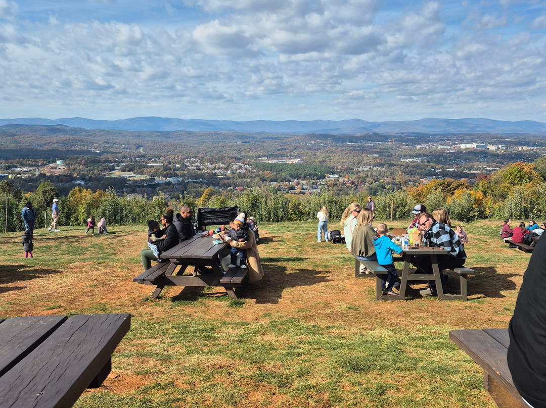 夏洛茨维尔希尔顿花园旅馆主图
