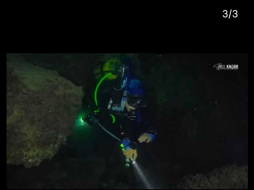 Kiwi Watersports & Dive Center-库萨达斯必去景点