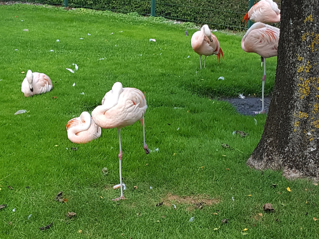 Dehner Flower Park-Rain必去景点