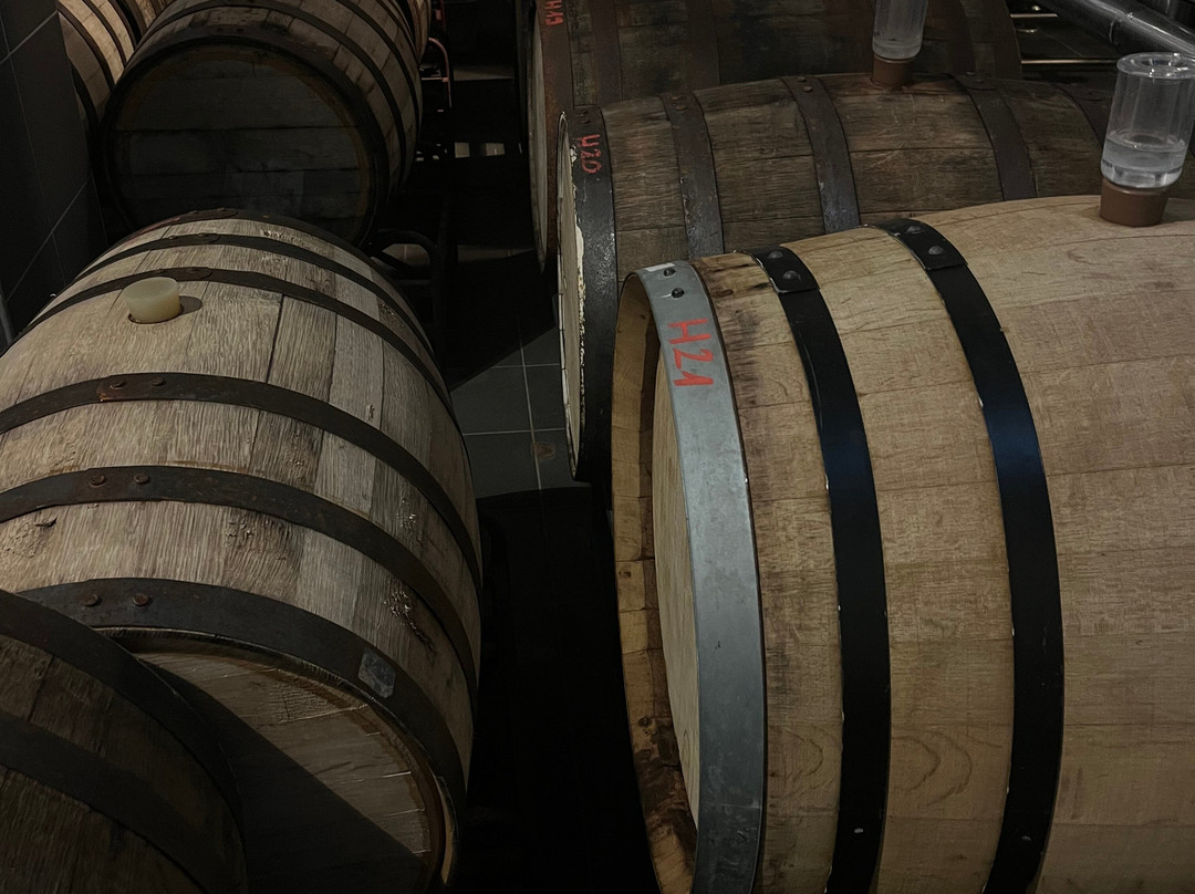 FIRST Craft Beer Brewery & Taproom-布达佩斯必去景点