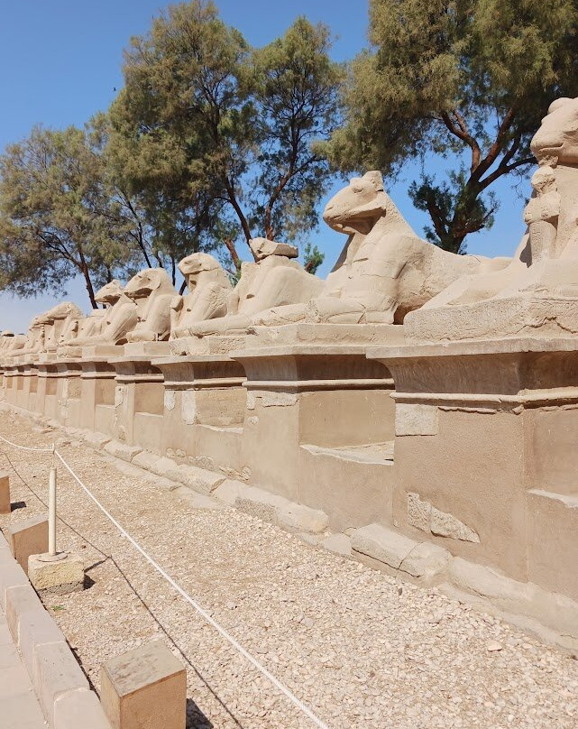 Avenue of Sphinxes-卢克索必去景点
