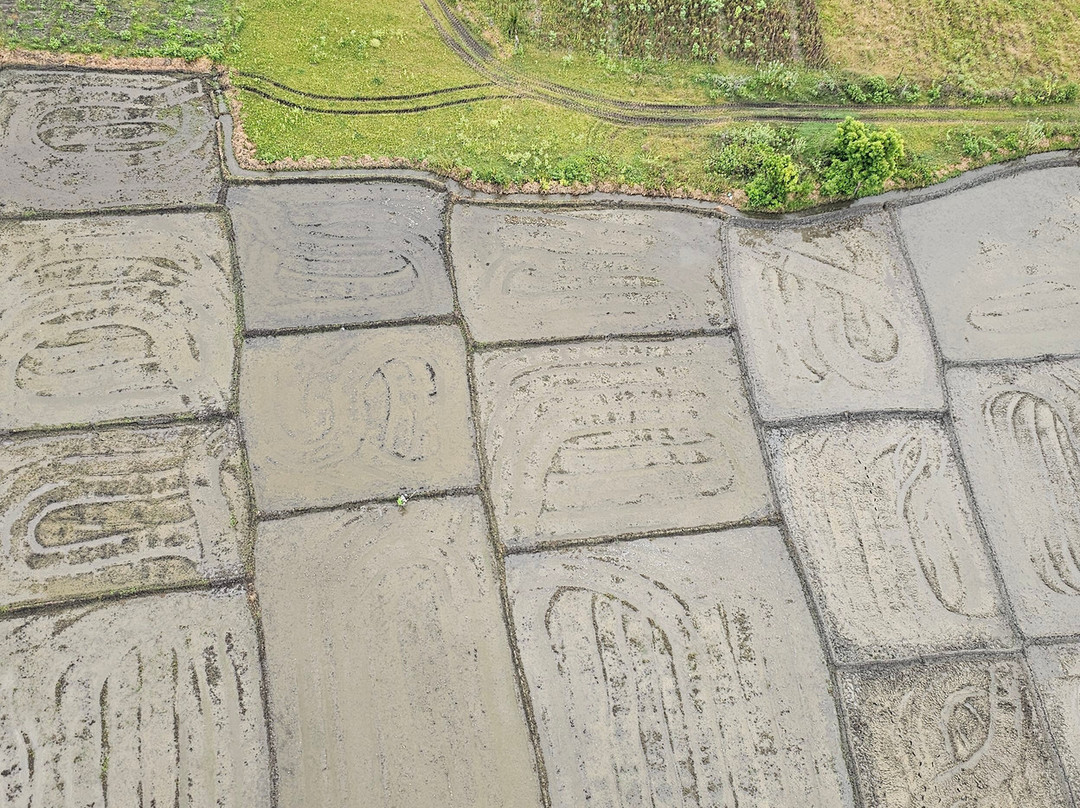 Sun Rise Ballooning-丹布拉必去景点