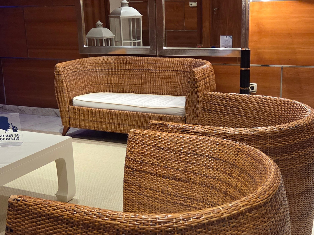 卡洛斯一世希尔加酒店主图