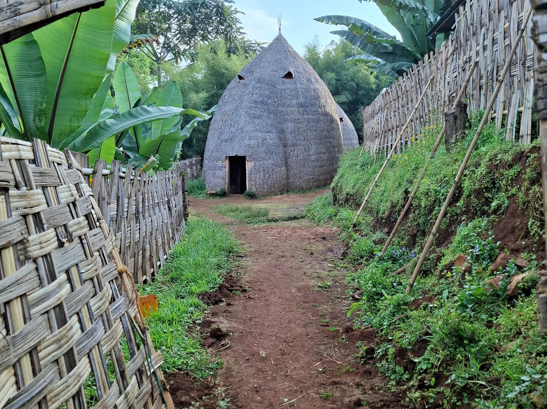Tarik Rift Valley Tour-Arba Minch必去景点