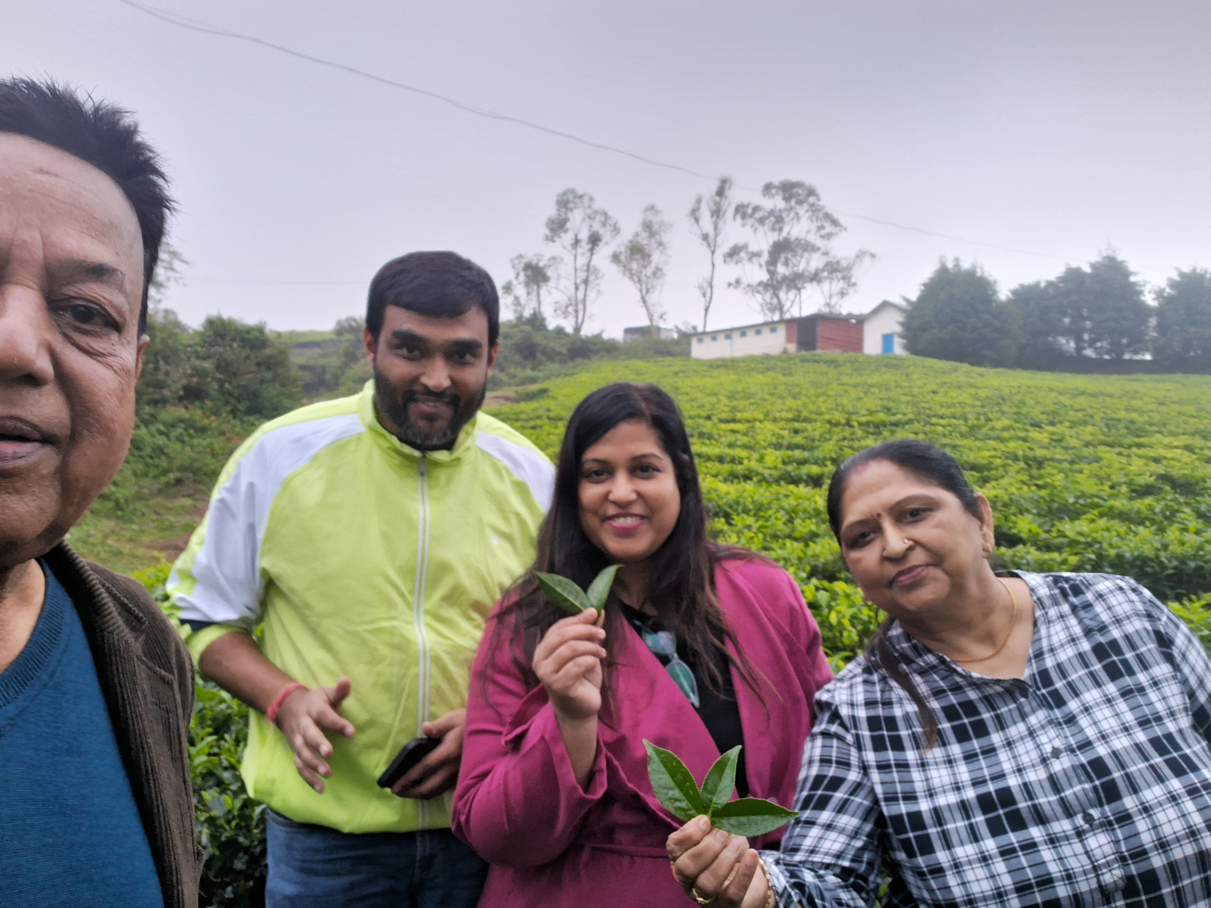 史特林露台绿野酒店-官方