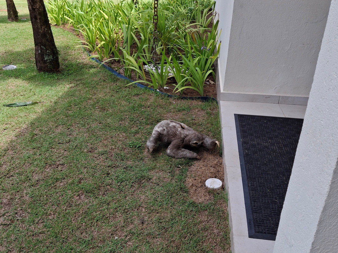 Beach Hotel Sunset - Cambury主图