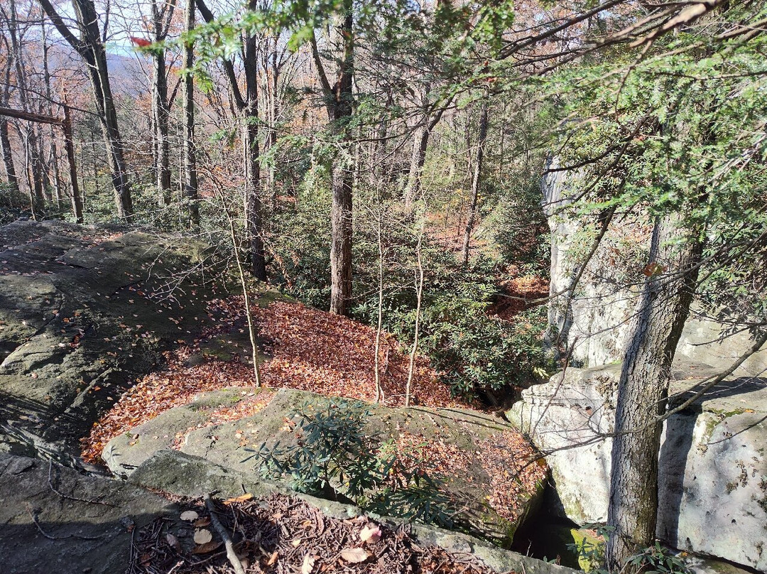 Coopers Rock State Forest-Bruceton Mills必去景点