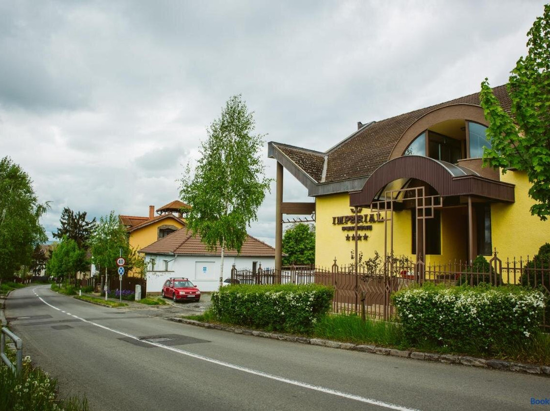 Livezeni酒店住宿-Pensiunea Imperial