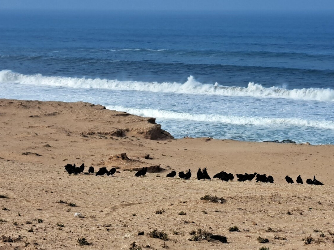 Parc Nacional de Souss-Massa-Takate必去景点