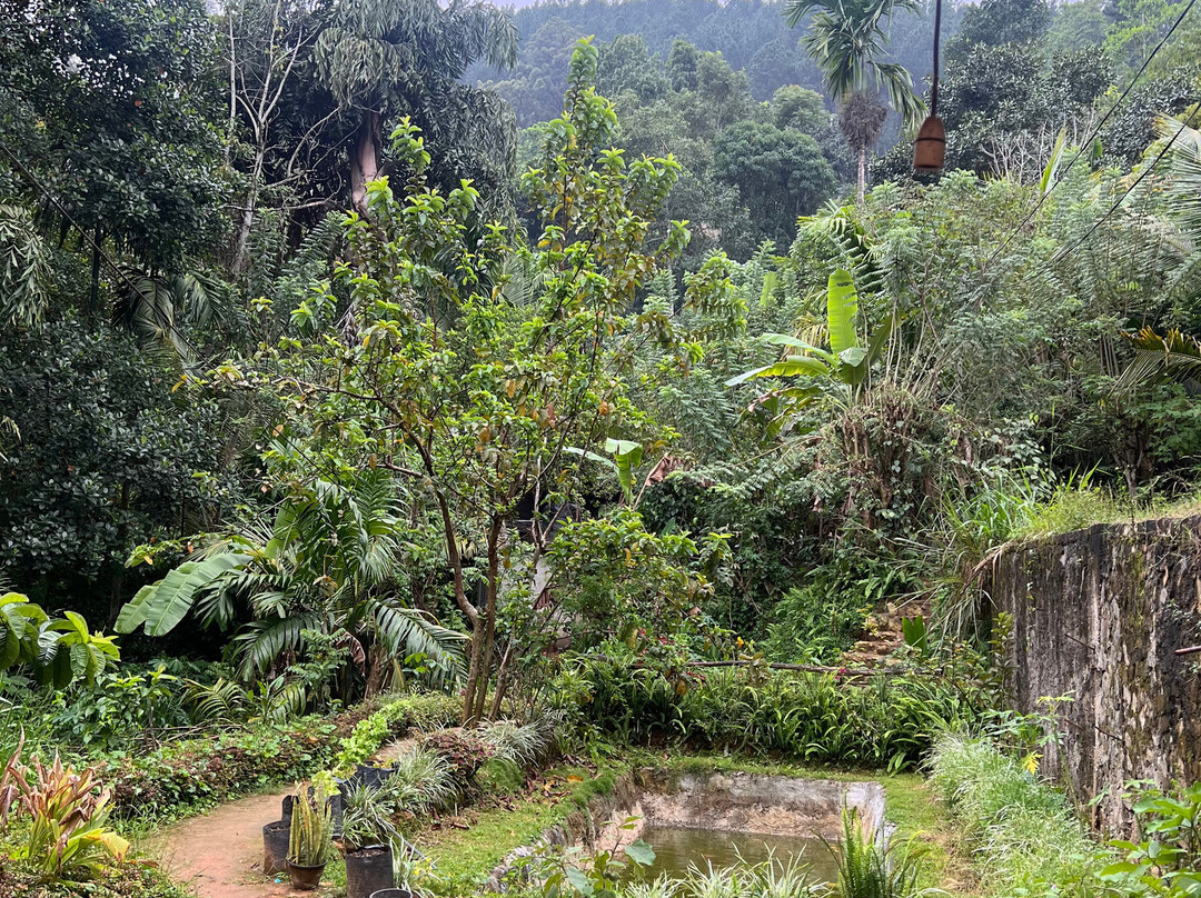 Ella Green Grow Cooking Class-埃勒必去景点