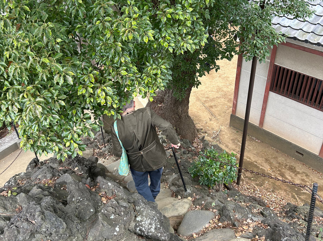 Shinagawa Shrine-品川区必去景点