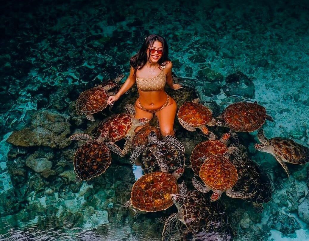 Salaam Cave Aquarium-Kizimkazi Dimbani必去景点