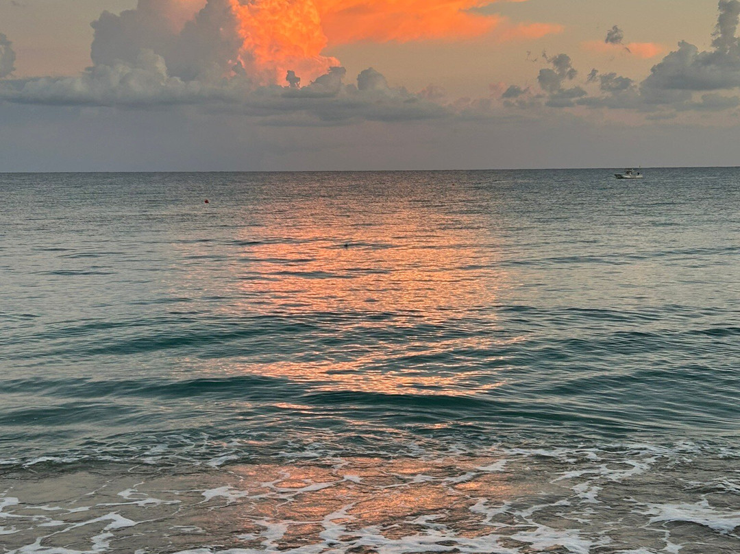 Pissouri Beach-皮索里必去景点