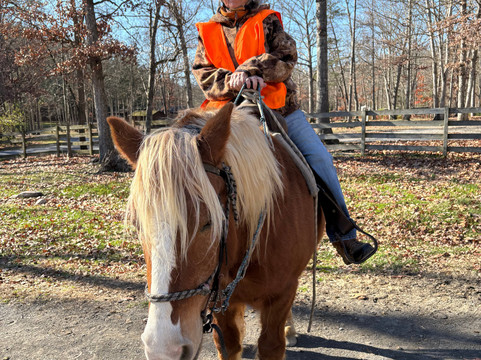 Fort Valley Ranch-Fort Valley必去景点