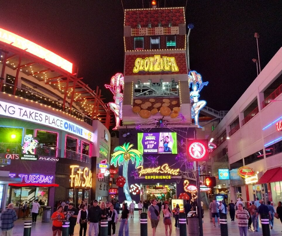 SlotZilla Zip Line Las Vegas-拉斯维加斯必去景点