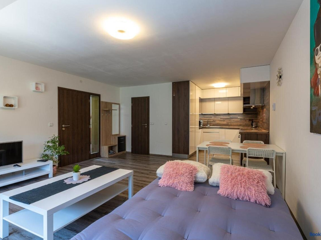 Apartmán U Křížku