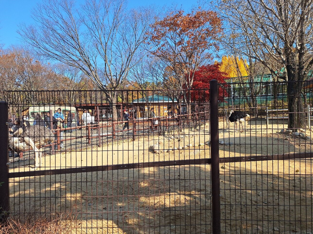 Incheon Grand Park-仁川必去景点