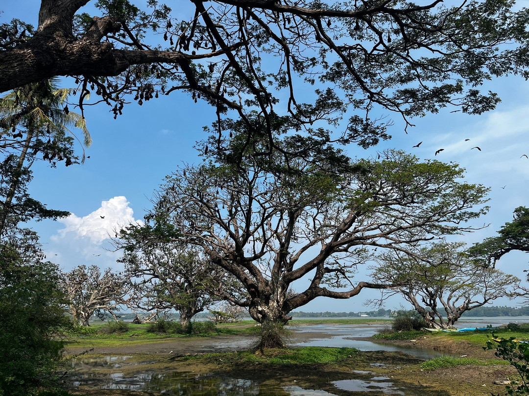 My Driver Sri Lanka-卡图纳耶克必去景点