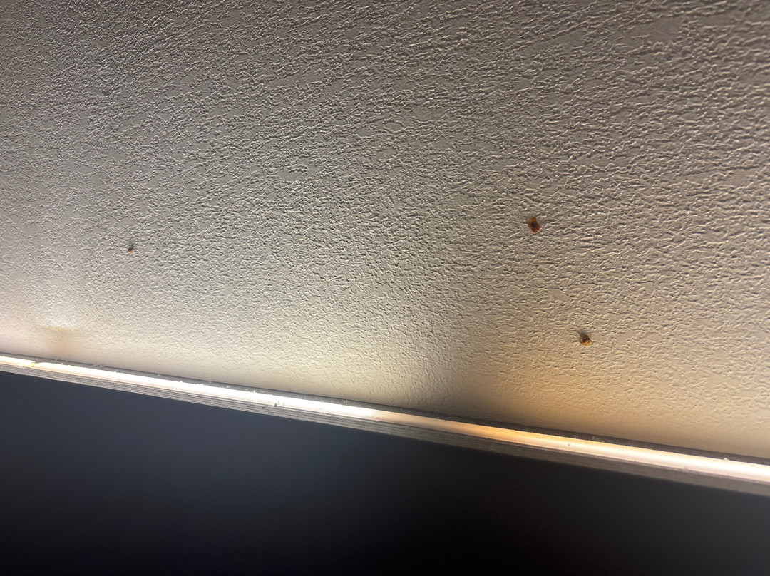 加兹登快捷假日&套房酒店主图