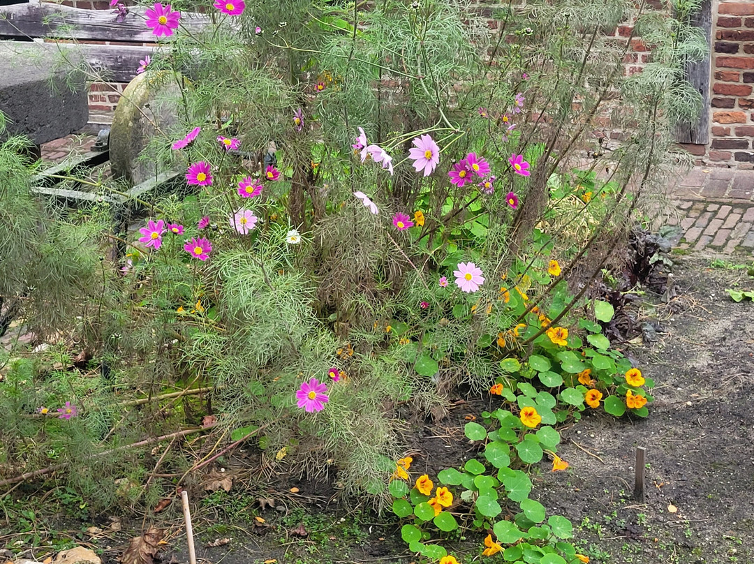 Stadsboerderij Grolle-Groenlo必去景点