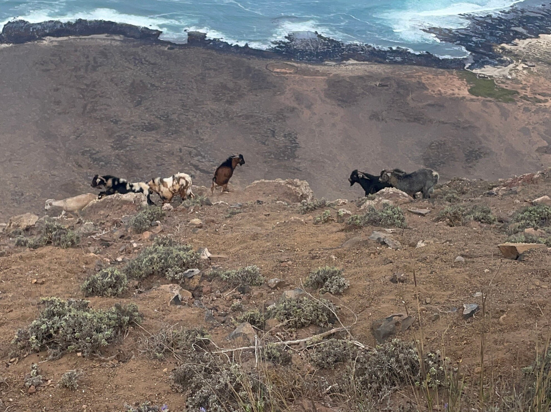 Mirador de Guinate-兰萨罗特必去景点