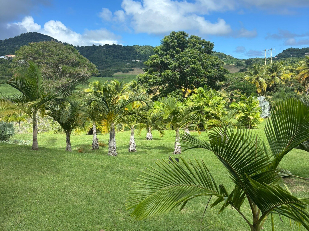 Distillerie BRAUD et QUENNESSON-Le Marin必去景点