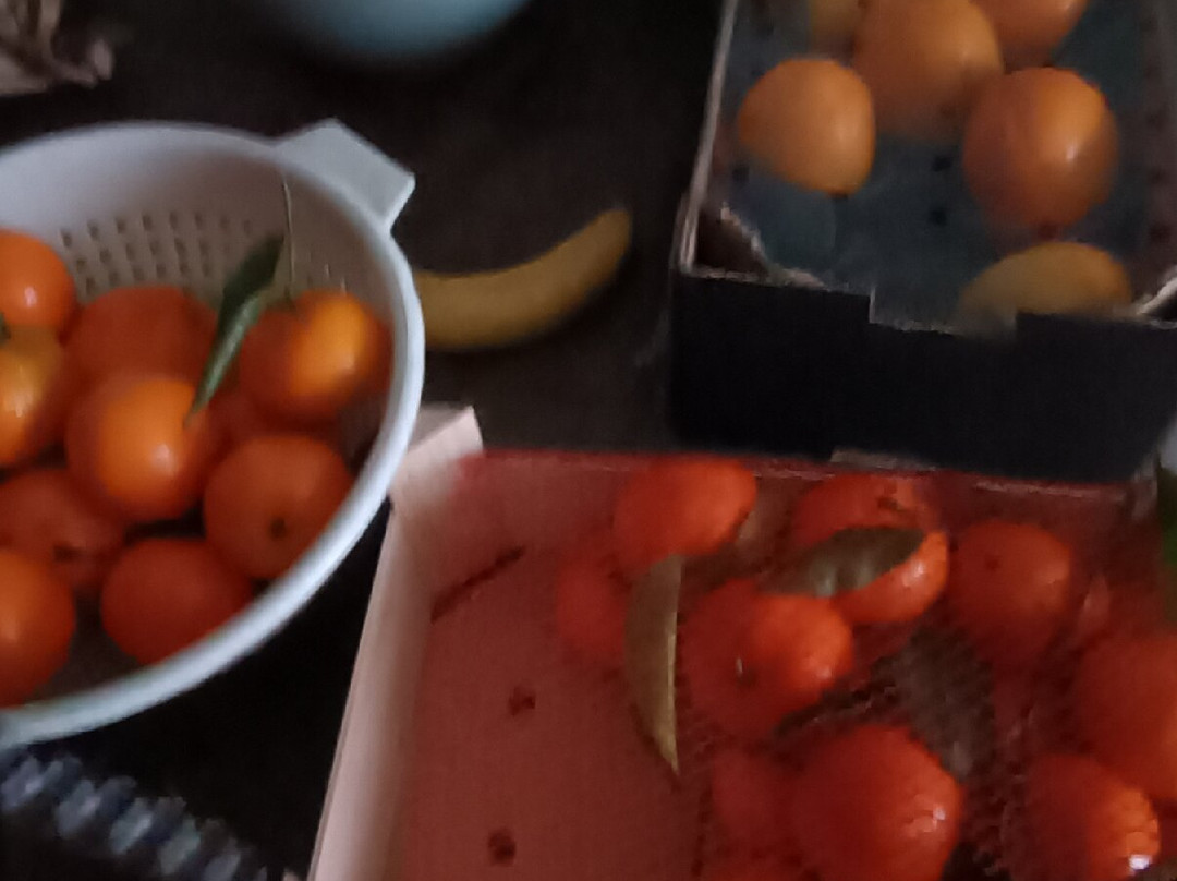 Grand Frais-Mantes-la-Ville必去景点