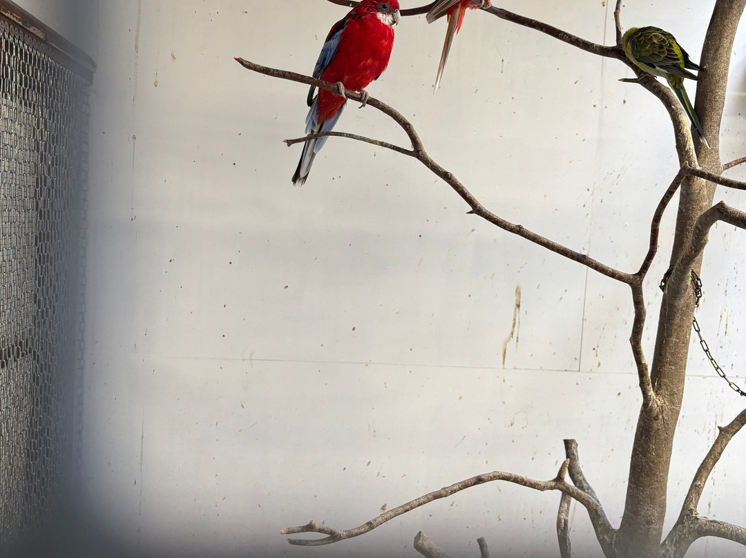 Newbridge House & Farm-Donabate必去景点