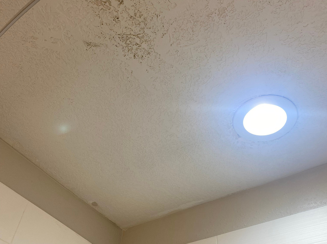 Holiday Inn Express & Suites Grants - Milan by IHG主图