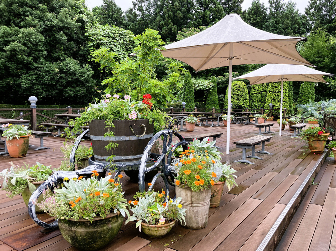 Yokokawa Service Area Outbound-安中市必去景点