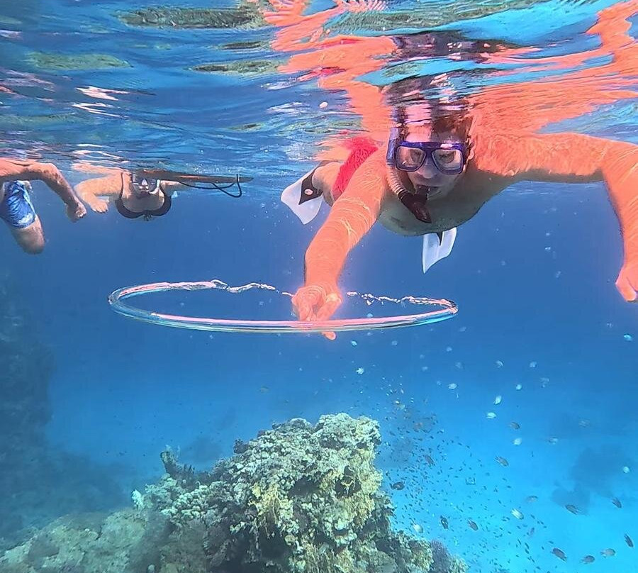 Chill tours-Port Safaga必去景点