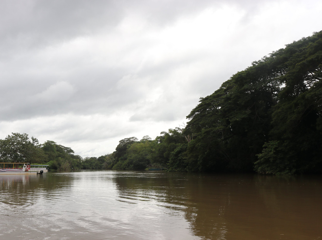 Caño Negro Wildlife Refuge-Cano Negro必去景点