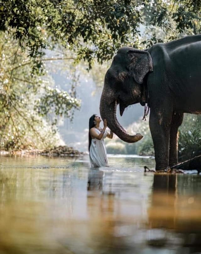 Best Safari Home Stay