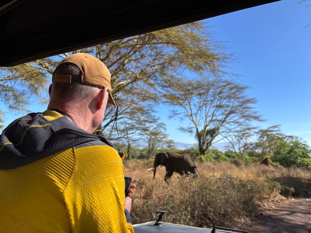 WildReality Safari-Dar es Salaam必去景点