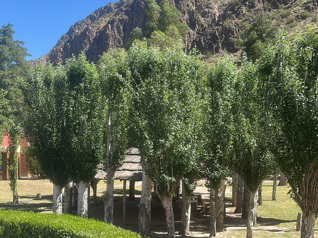 Cabañas Del Sol主图