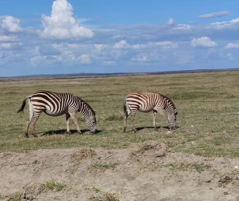 Viaggio Del Cuore-瓦塔木必去景点