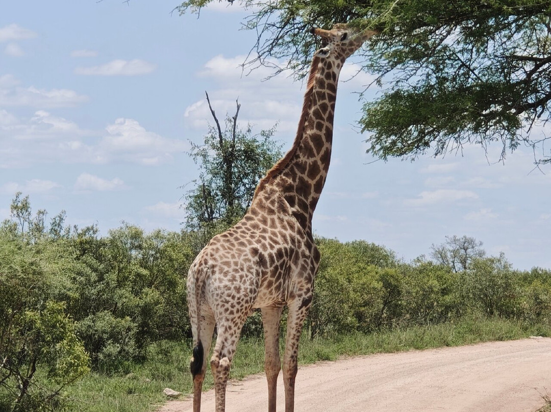 赛法帕内旅行宾馆酒店主图