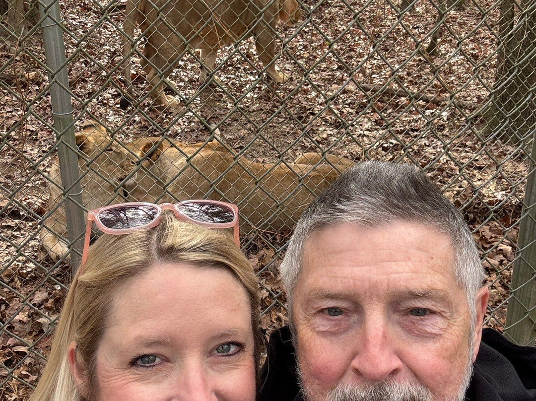 Tigers For Tomorrow-Attalla必去景点