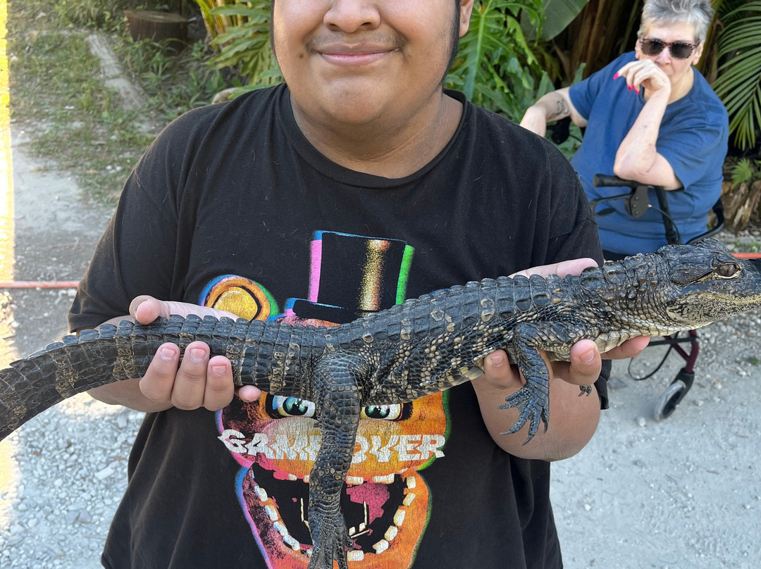 Croc Encounters-坦帕必去景点