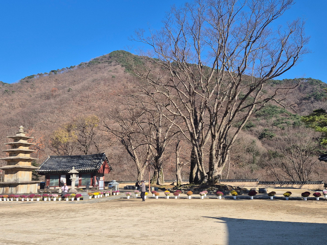 Muryangsa-扶余郡必去景点