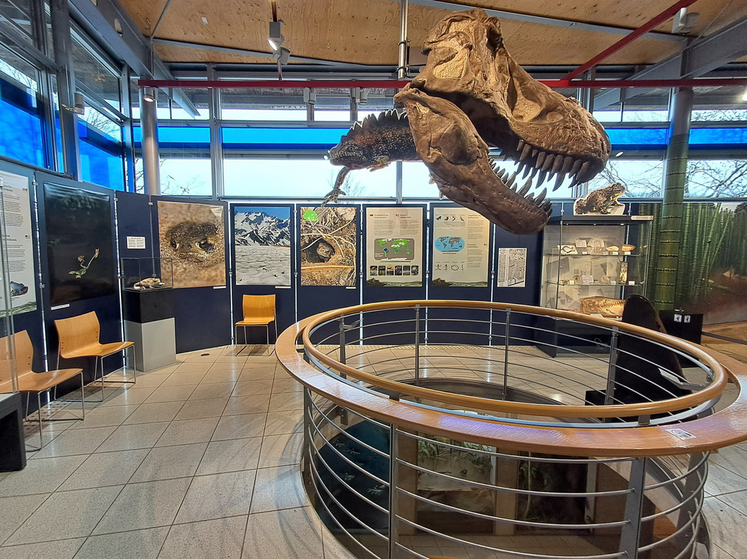 Burg Lichtenberg-Thallichtenberg必去景点