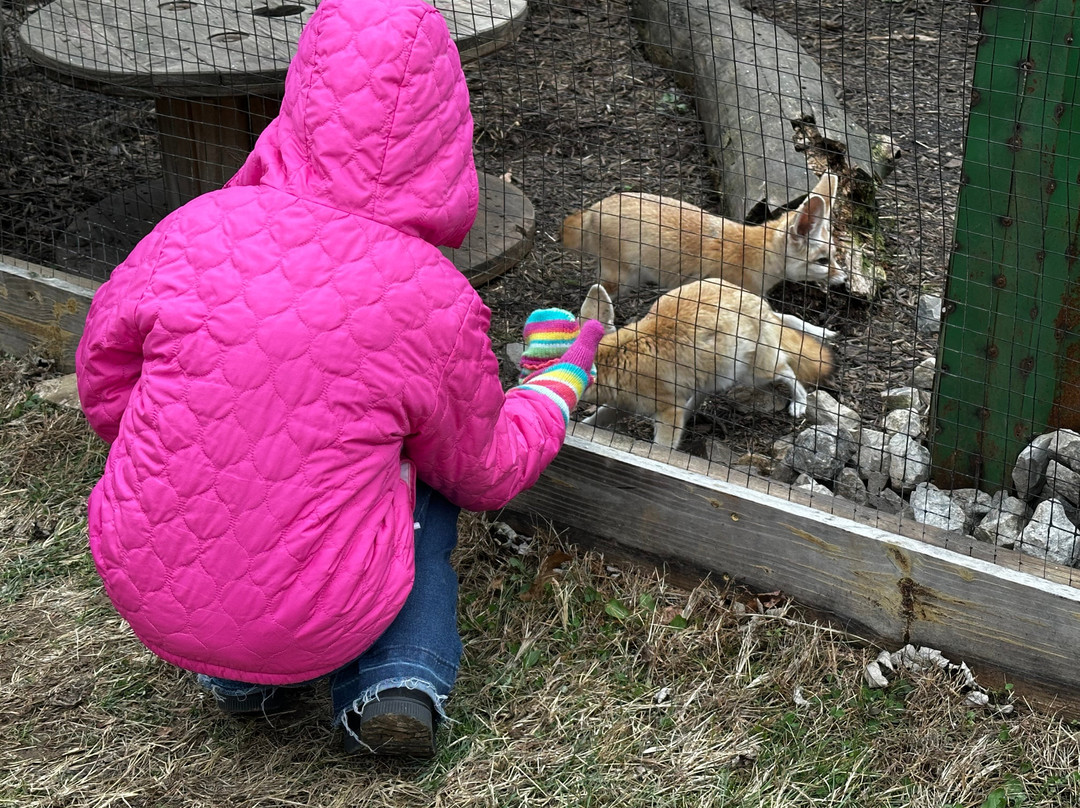 Paws And Claws Animal Encounters-Bremen必去景点