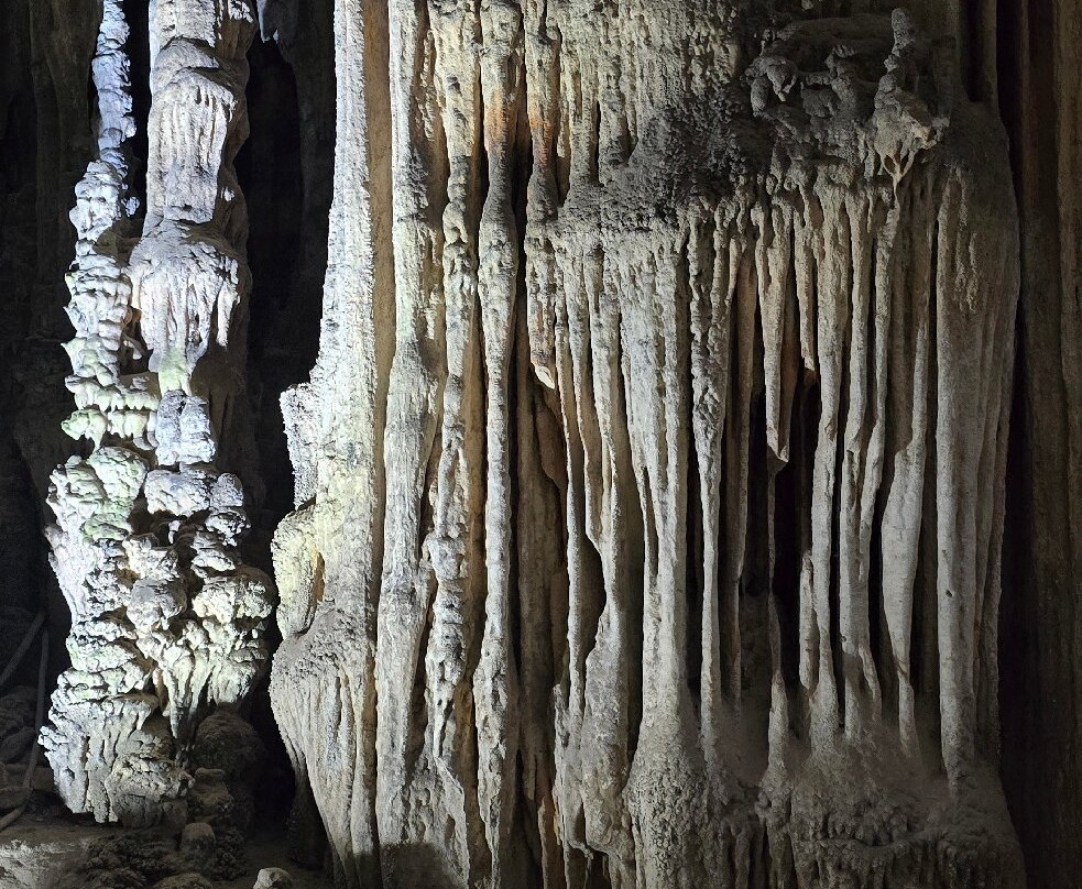 Les Grottes de Beni Add-Tlemcen必去景点