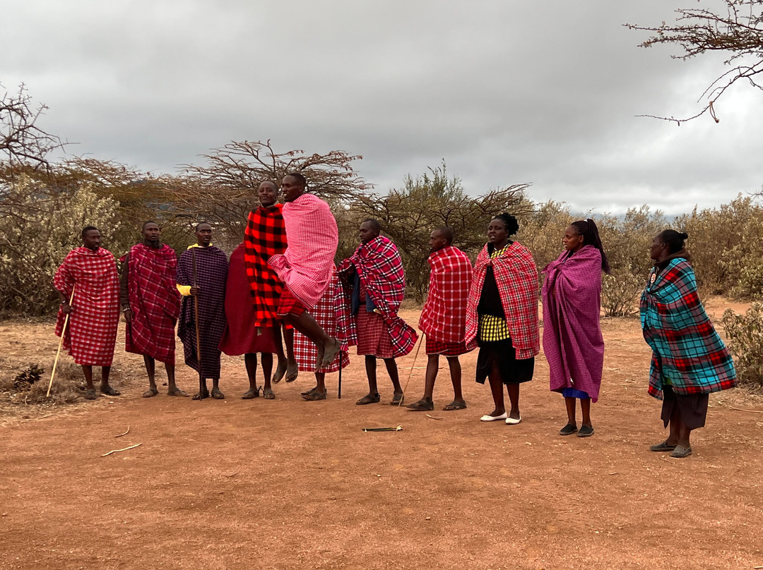 La Toupie Voyageuse-里昂必去景点